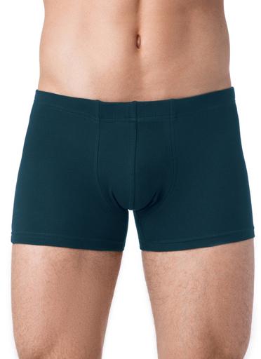 Брестские Трусы мужские ALFA BOXER 16С6300102,106/XL