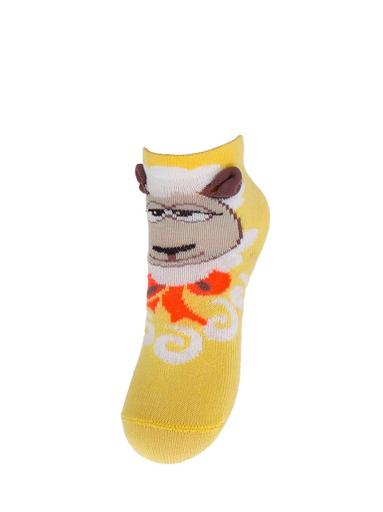 Брестские Носки детские 3086 BABY (с рисунком)11-12