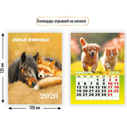 Календарь настенный отрывной 2026 г. Милые животные: 100*135 мм, магнит. основа