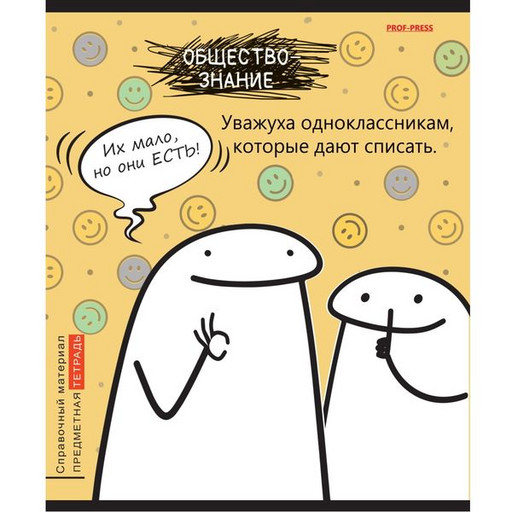 Тетрадь предметная 48 л., клетка, 60 г/м?, мел. картон, тисн."холст", Prof-Press Школьные мемасики_Обществознание