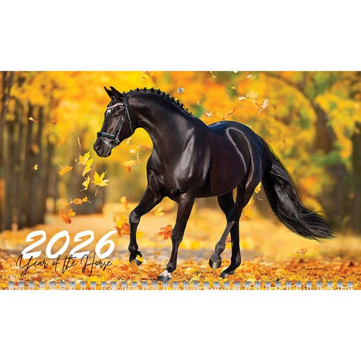 Календарь настенный 3-х блочный 2026 г. Год Лошади: 297*750 мм, 3 гребня, бегунок