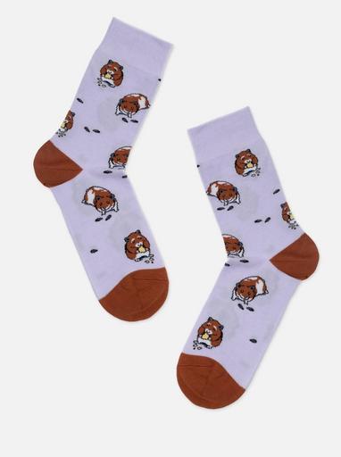 Брестские Носки 4200 PETS (средней длины)40-43