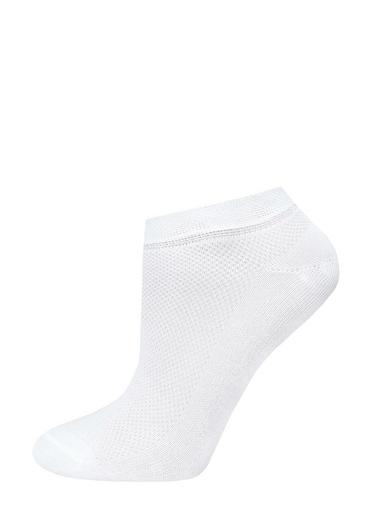 Брестские Носки детские 302317-18