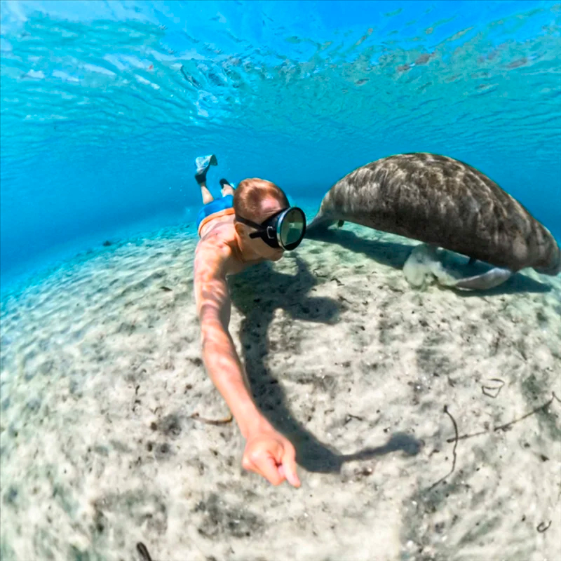 Аквабокс Dive Case Insta360 X5