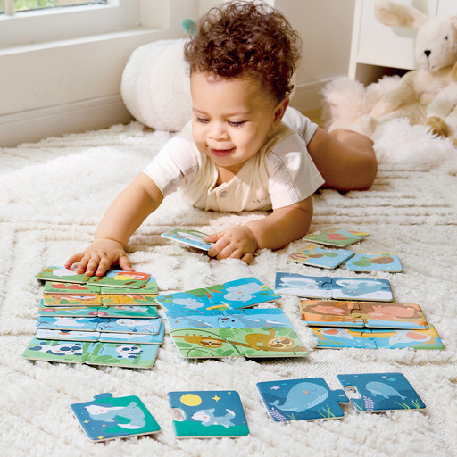 Игрушка развивающая "Пазл" Найди пару (Основная)