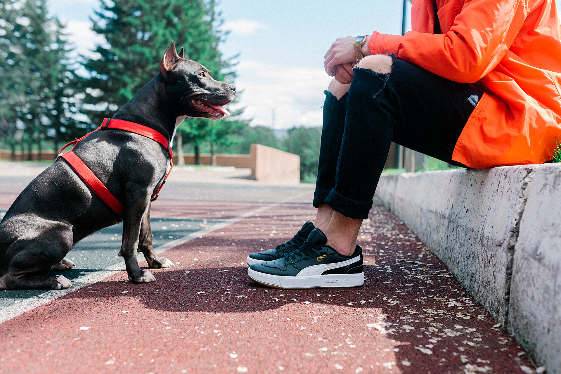 PUMA Sky LX