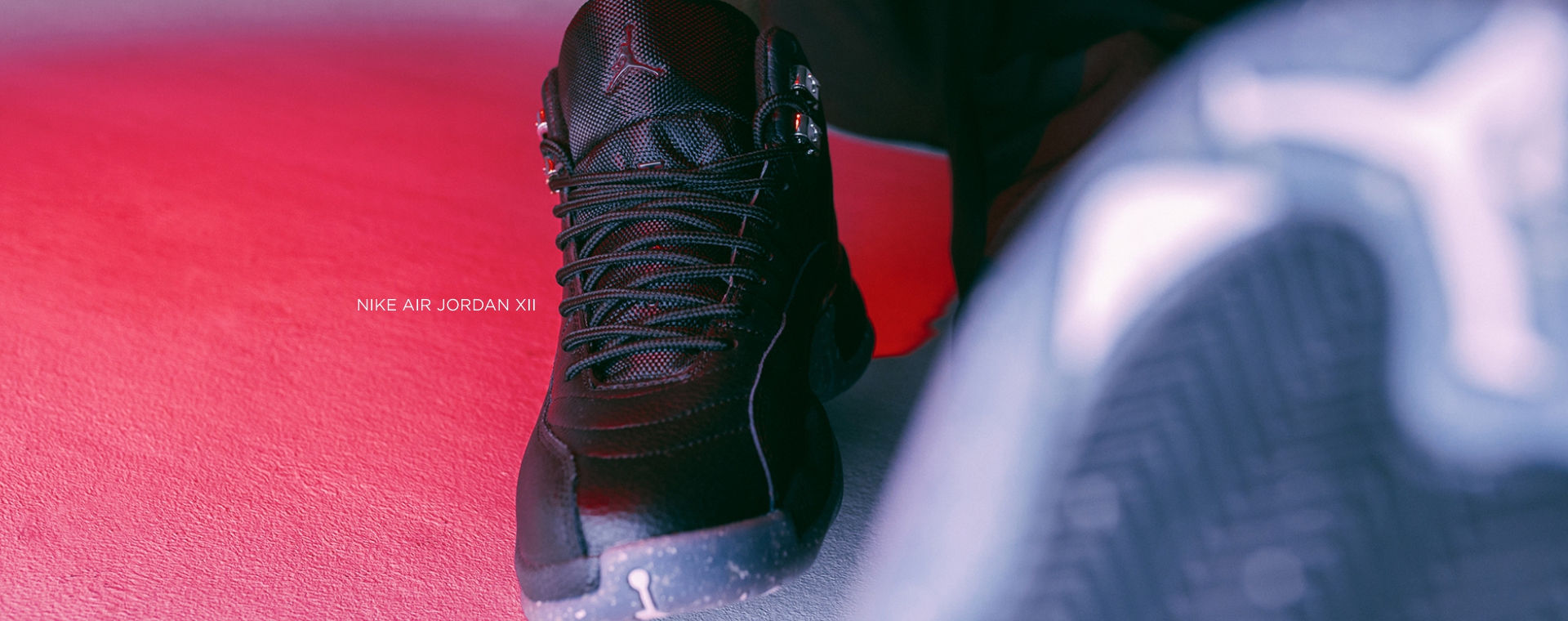 Nike Air Jordan 12 (31150)