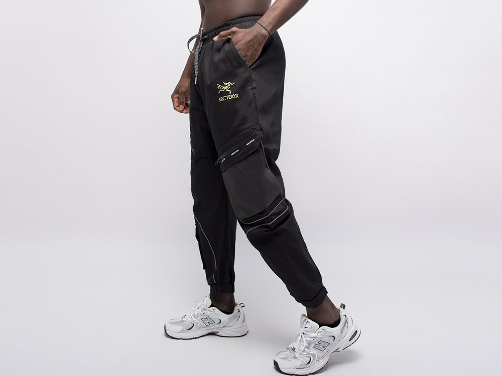 Купить Джоггеры Arcteryx (33390) по цене 4320 руб.