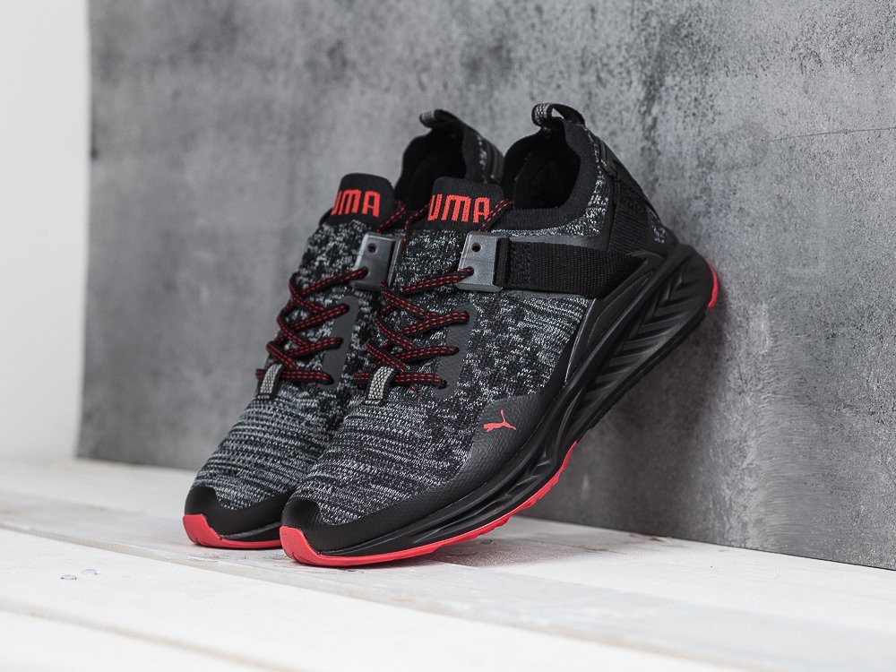 Puma evoknit hot sale ignite low