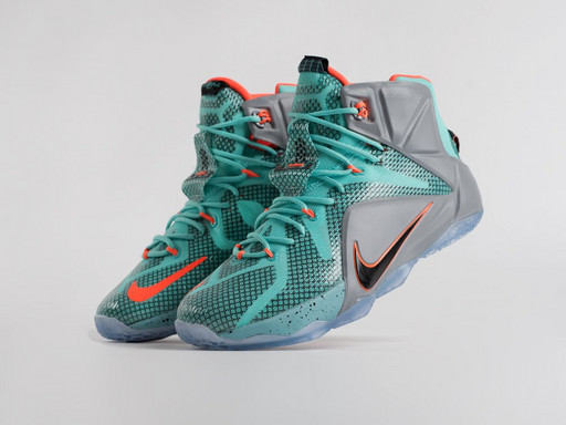 Кроссовки Nike Lebron 12 (2623)
