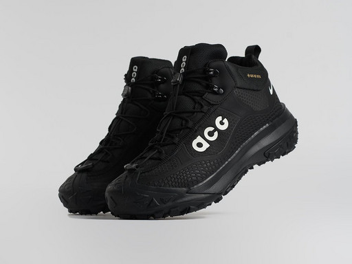 Зимние кроссовки Nike ACG Mountain Fly Mid (45988)