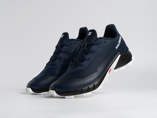 Кроссовки Salomon Alphacross 5 GTX (45208)