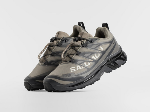 Кроссовки Salomon ADVANCED XT-6 ADV (47509)
