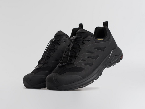 Кроссовки Salomon X ADVENTURE GTX (45601)