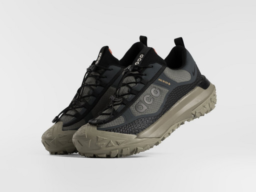 Кроссовки Nike ACG Mountain Fly Low (47482)