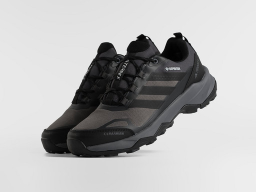 Кроссовки Adidas Terrex Skychaser AX5 (47319)