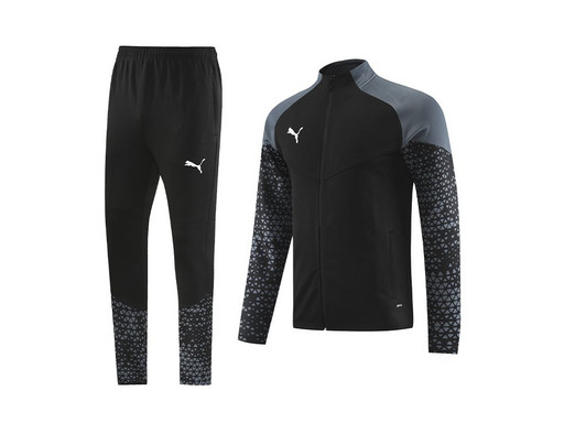 Спортивный костюм Puma (45031)