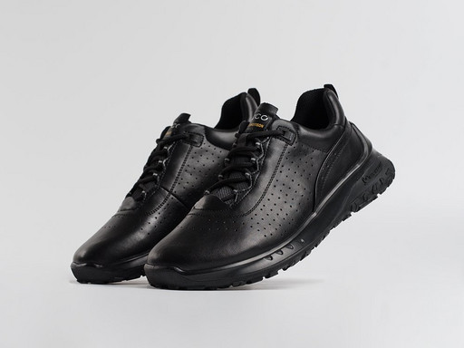 Кроссовки Ecco Biom Ult-trn (45602)