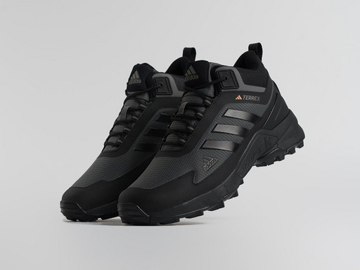 Кроссовки Adidas Terrex Swift R3 Mid (45764)