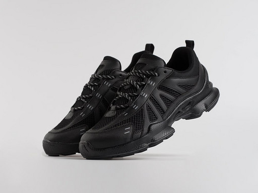 Кроссовки Ecco Biom C-Trail Low (46331)