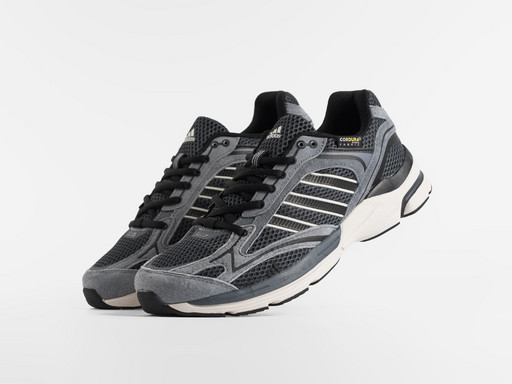 Кроссовки Adidas Spiritain 2000 (47197)