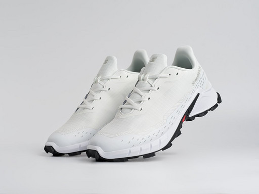 Кроссовки Salomon Alphacross 5 GTX (45204)