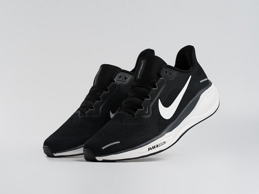 Кроссовки Nike Air Zoom Pegasus 41 (45142)