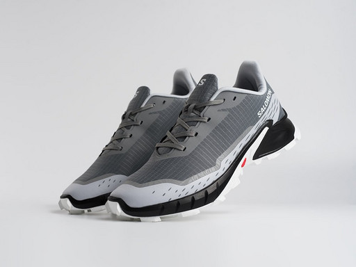 Кроссовки Salomon Alphacross 5 GTX (45209)