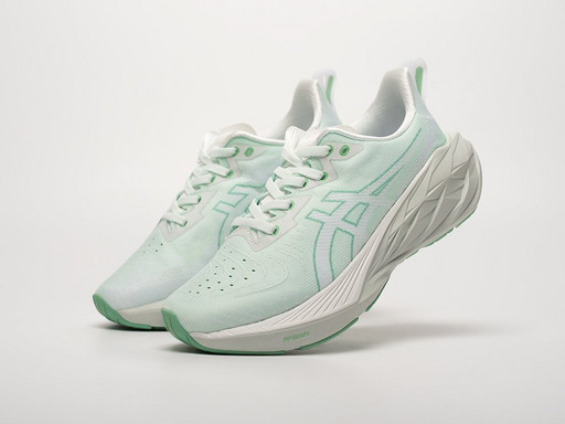 Кроссовки Asics Novablast 4 (42007) Кроссовки Asics Novablast 4 (42007)