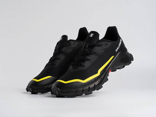 Кроссовки Salomon Alphacross 5 GTX (45205)