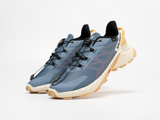 Кроссовки Salomon Supercross 4 GTX (40124)