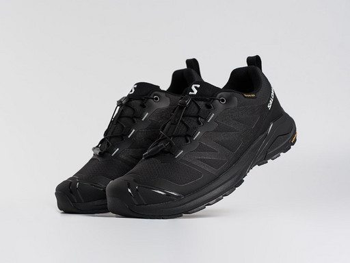 Кроссовки Salomon X ADVENTURE GTX (45437)
