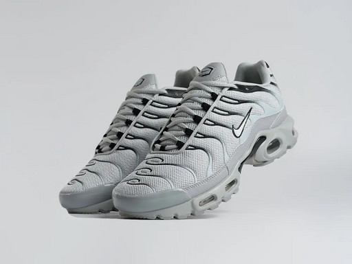 Кроссовки Nike Air Max Plus TN (45269)
