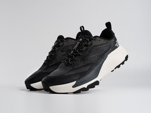 Кроссовки The North Face Altamesa 500 (45243)