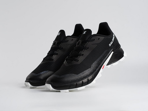 Кроссовки Salomon Alphacross 5 GTX (45206)
