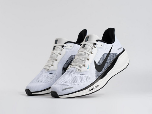 Кроссовки Nike Air Zoom Pegasus 41 (45143)