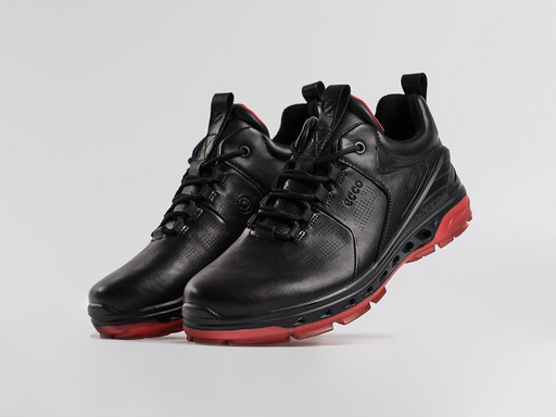 Кроссовки Ecco Biom (45604)