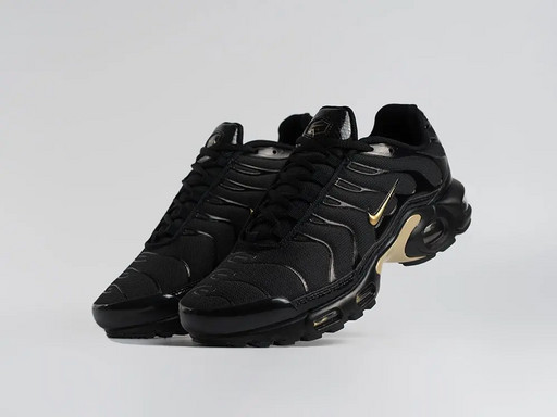 Кроссовки Nike Air Max Plus TN (45270)