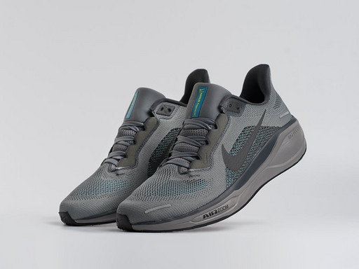 Кроссовки Nike Air Zoom Pegasus 41 (45144)
