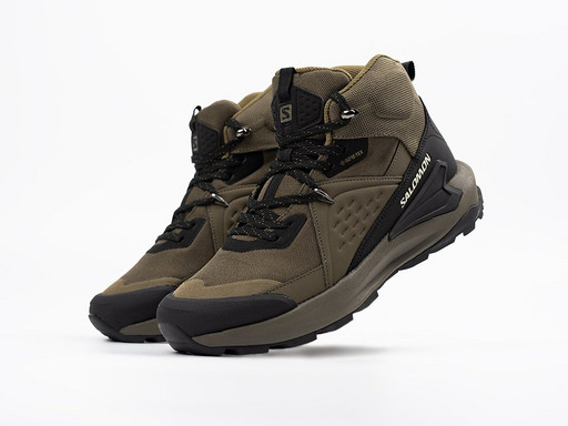 Ботинки Salomon ELIXIR MID GTX (43920) Ботинки Salomon ELIXIR MID GTX (43920)