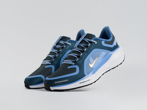 Кроссовки Nike Air Zoom Pegasus 41 (44768)