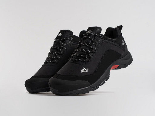 Кроссовки Adidas Terrex (31132)