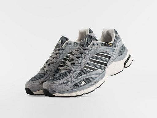 Кроссовки Adidas Spiritain 2000 (47171)