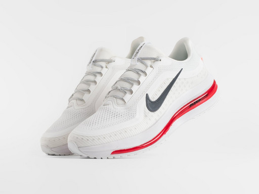 Кроссовки Nike Pegasus Premium (47085)