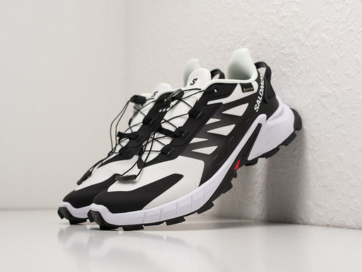 Кроссовки Salomon Supercross 4 GTX (38107)