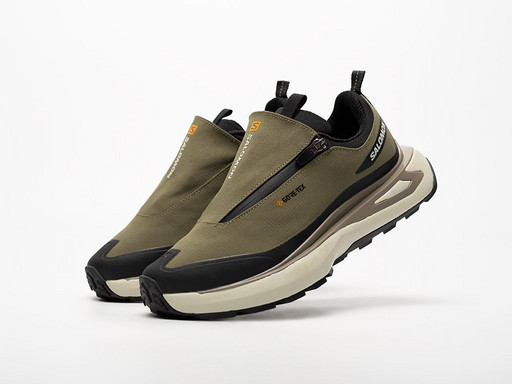 Кроссовки Salomon Odyssey ELMT Advanced (43403)