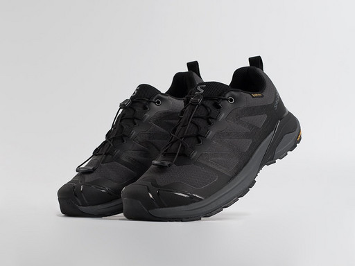 Кроссовки Salomon X ADVENTURE GTX (45440)