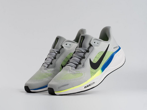 Кроссовки Nike Air Zoom Pegasus 41 (45146)