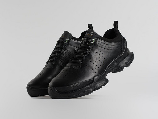Зимние Кроссовки Ecco Biom (45732)