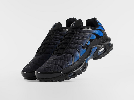 Кроссовки Nike Air Max Plus (47036)